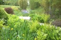 One Of Our Finished Bog Gardens 
