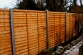 Some Winter Fencing